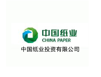 中国纸业